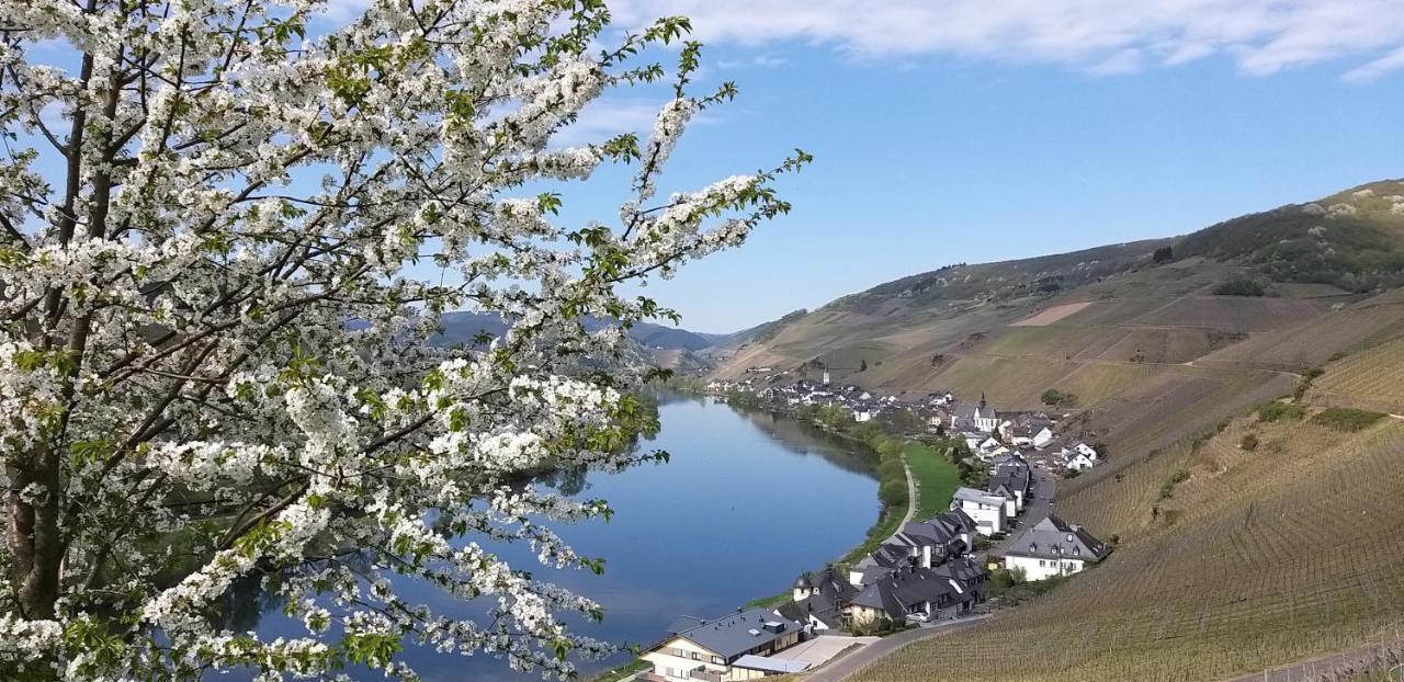 Mosel-Appartements Nehren Zell an der Mosel Exterior foto