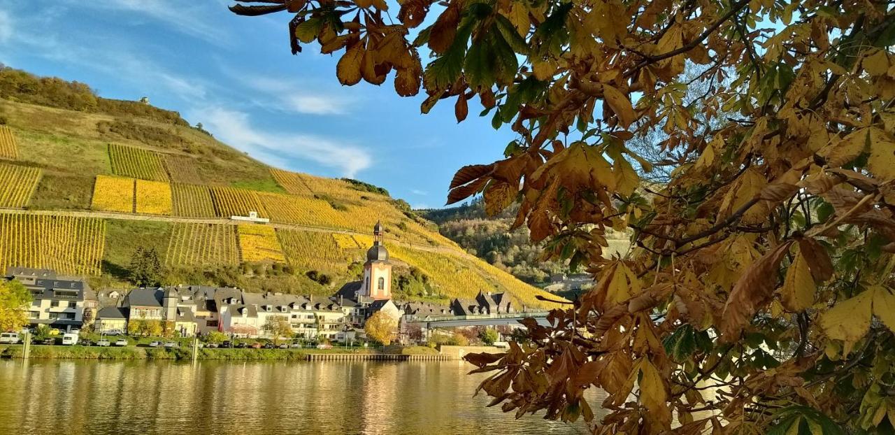Mosel-Appartements Nehren Zell an der Mosel Exterior foto
